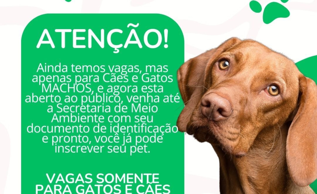 CASTRAPET - PROGRAMA DE CASTRAÇÃO DE CÃES E GATOS