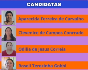 eleicao-para-suplente-conselho-tutelar-2.jpg