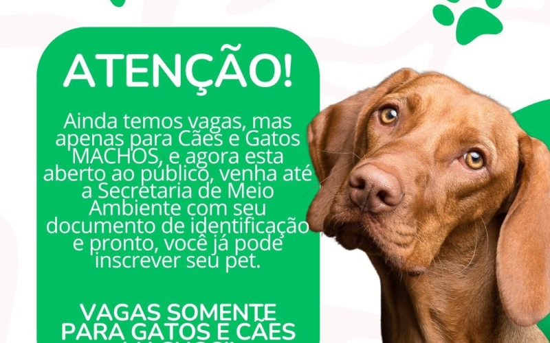 CASTRAPET - PROGRAMA DE CASTRAÇÃO DE CÃES E GATOS